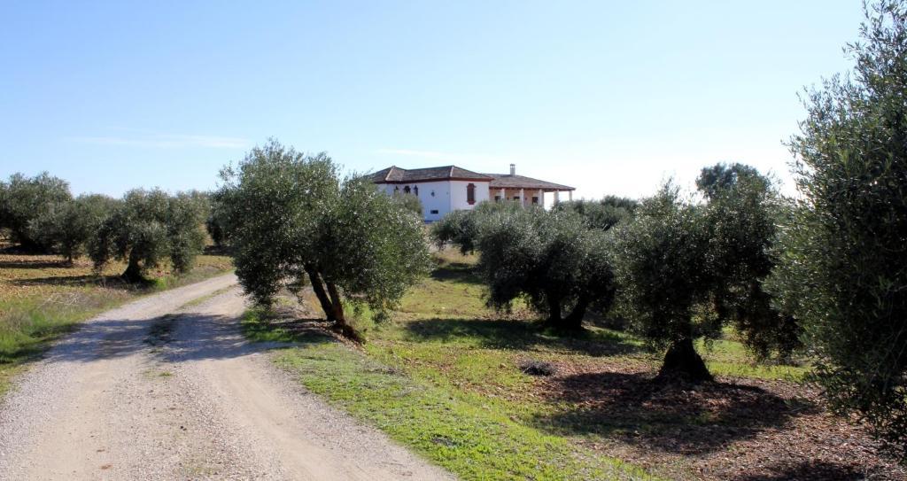 Casa Rural La Serrana La Carlota Ngoại thất bức ảnh