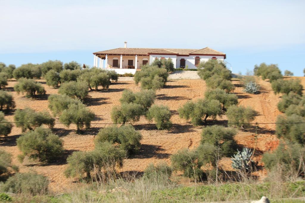 Casa Rural La Serrana La Carlota Ngoại thất bức ảnh