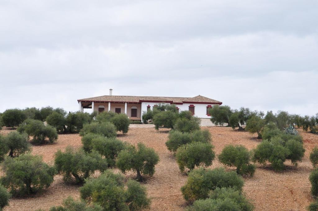 Casa Rural La Serrana La Carlota Ngoại thất bức ảnh